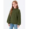 imageImily Bela Girls Turtleneck Sweaters Kids Batwing Sleeve Knit Clothes Chunky Pullover JumperZ3cable Knitarmy Green