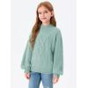 imageImily Bela Girls Turtleneck Sweaters Kids Batwing Sleeve Knit Clothes Chunky Pullover JumperZ3cable Knitgreen